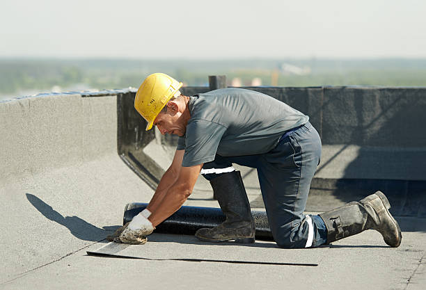 Best Insulation Maintenance and Repair in Willow Park, TX